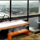 Medical Frozen 7 Cold Plunge