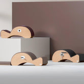 BASI Spine Corrector with F2