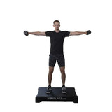 vibe plate 2440