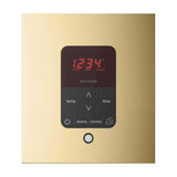 Mr. Steam iTempoPlus Steam Shower Control and Aroma Designer SteamHead Square, view 17, RecovAthlete