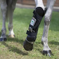 OMI PEMF Full Equine Package