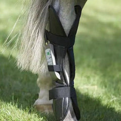 OMI PEMF Horse Rear Leg Wrap