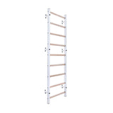 BenchK Steel Swedish Ladder - White