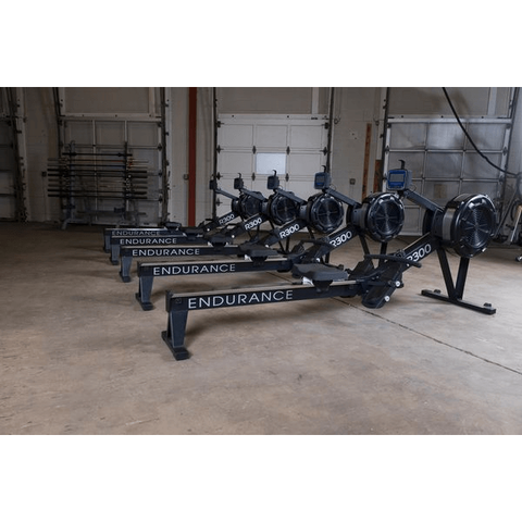 Body-Solid Endurance R300 Rower