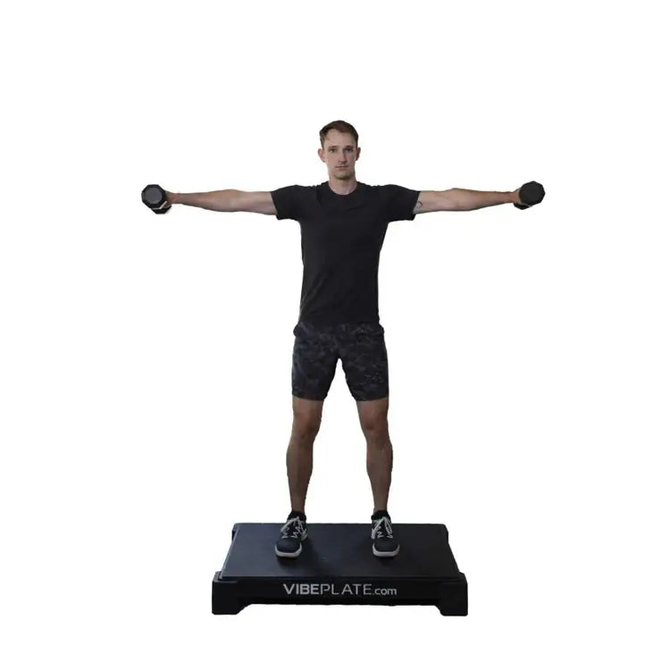 vibe plate 2440