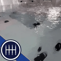 Liberty Spas Luxury 240V 6 Person Spa LYS6000