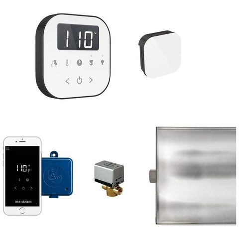 Mr. Steam AirButler Steam Shower Control Package with AirTempo Control and Aroma Glass SteamHead