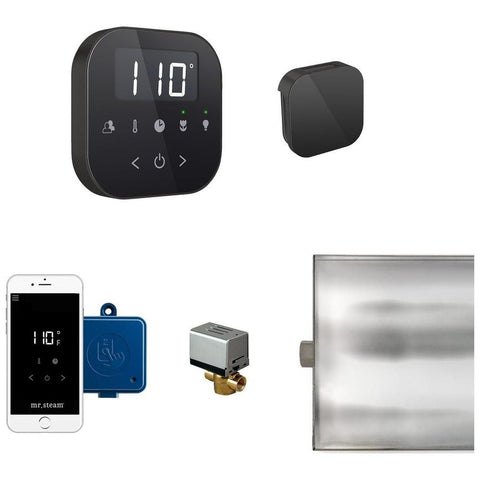 Mr. Steam AirButler Steam Shower Control Package with AirTempo Control and Aroma Glass SteamHead