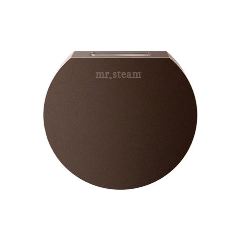 Mr. Steam Aroma Designer 3 in. W. Steamhead with AromaTherapy Reservoir Round