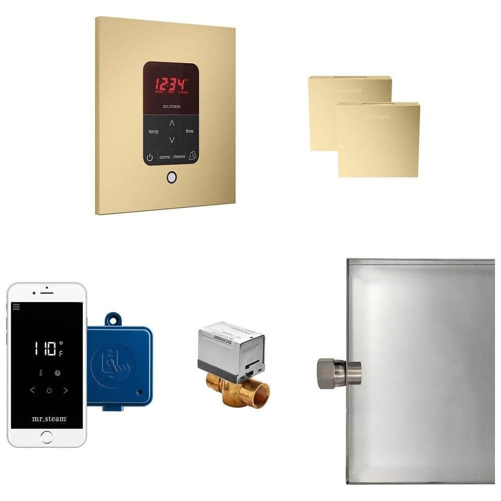 Mr. Steam Butler Max Operating Control Package | MSBUTLERX, view 10, RecovAthlete
