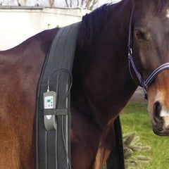 OMI PEMF Horse Shoulder Band