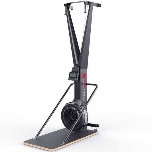 ST910 Ski Trainer Free Standing