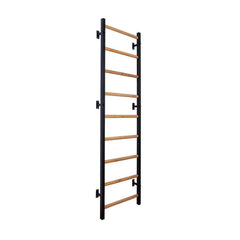 BenchK Steel Swedish Ladder - Black