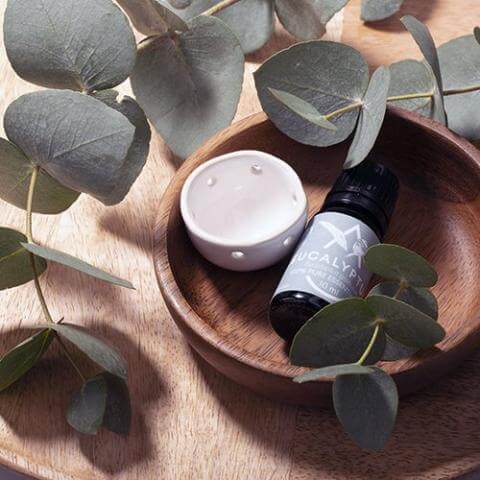 Saunum Eucalyptus Aroma Oil with Reservoir, 10ml, RecovAthlete