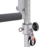 Elina Pilates Reformer Master Instructor Fisio with Tower -Pilates Reformers Plus